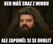 Shouldnt Have Said That Hagrid 17122018144054